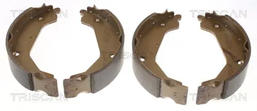 Handler.Part Brake shoe set TRISCAN 810043019 2