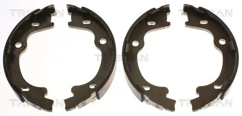 Handler.Part Brake shoe set, parking brake TRISCAN 810043021 1