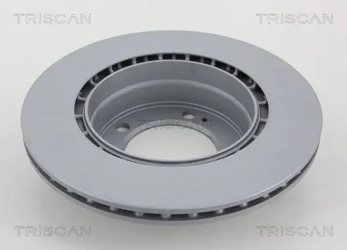 Handler.Part Brake disc TRISCAN 8120101060C 2