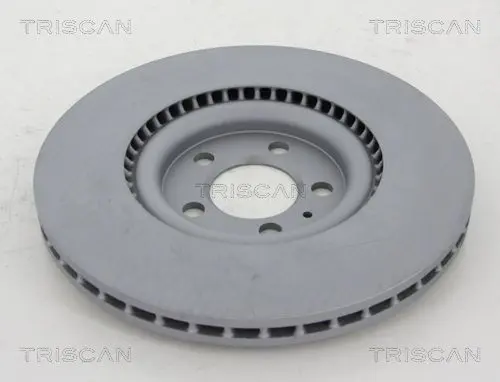 Handler.Part Brake disc TRISCAN 8120291065C 2