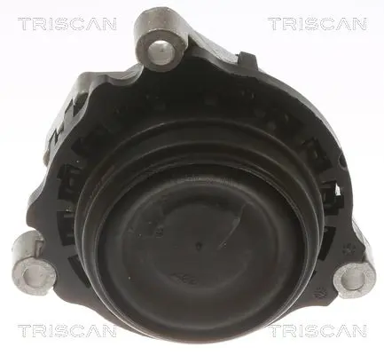 Handler.Part Tie rod end TRISCAN 850011121 2