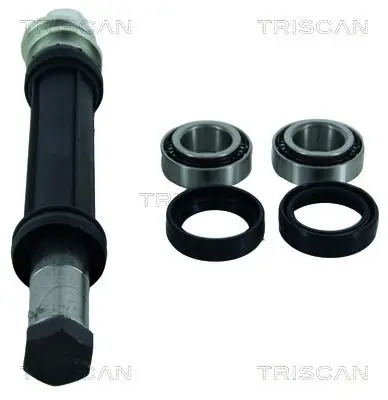 Handler.Part Suspension kit TRISCAN 850038400 1