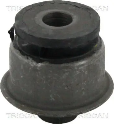 Handler.Part Control arm-/trailing arm bush TRISCAN 850080808 1