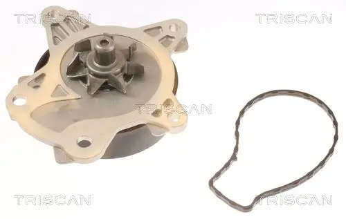 Handler.Part Water pump TRISCAN 860013039 2