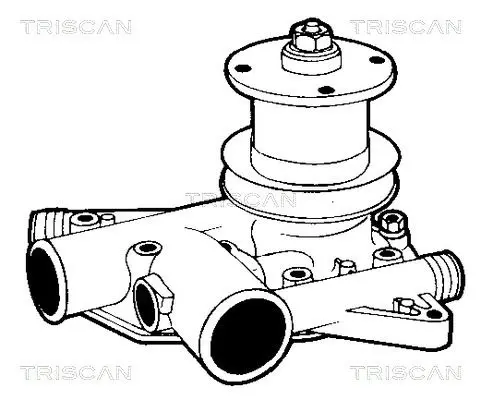 Handler.Part Water pump TRISCAN 860025080 2