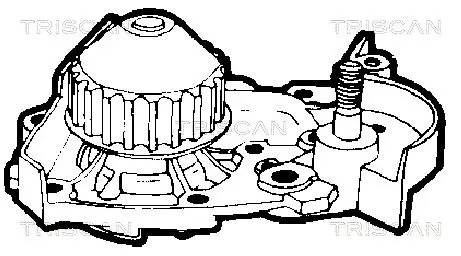 Handler.Part Water pump TRISCAN 860025876 2