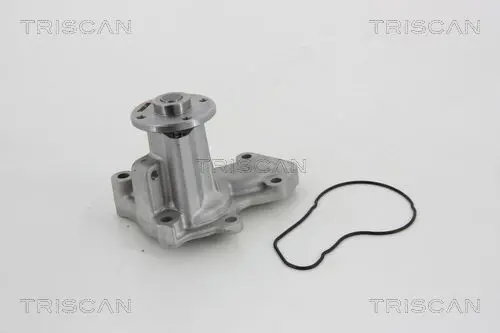 Handler.Part Water pump TRISCAN 860042020 1