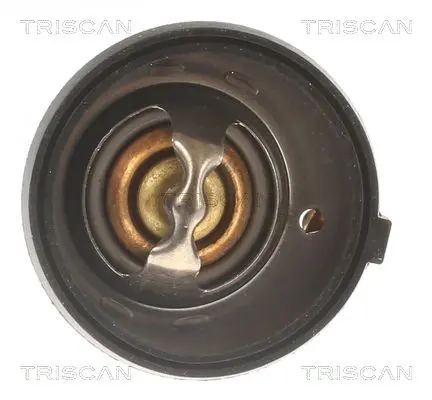 Handler.Part Thermostat, coolant TRISCAN 862010388 2