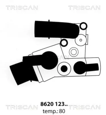 Handler.Part Thermostat, coolant TRISCAN 862012380 1