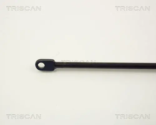 Handler.Part Gas spring, bonnet TRISCAN 87101011 3