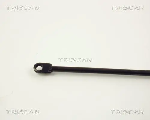 Handler.Part Gas spring, bonnet TRISCAN 87101012 3