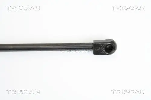 Handler.Part Gas spring, boot-/cargo area TRISCAN 871010210 3