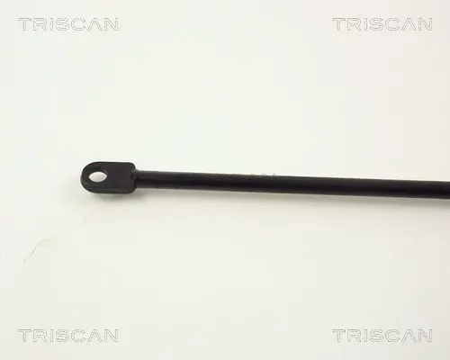 Handler.Part Gas spring, boot-/cargo area TRISCAN 87101107 3