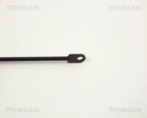 Handler.Part Gas spring, bonnet TRISCAN 87101101 3