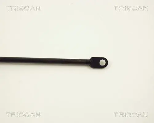 Handler.Part Gas spring, boot-/cargo area TRISCAN 871012203 3