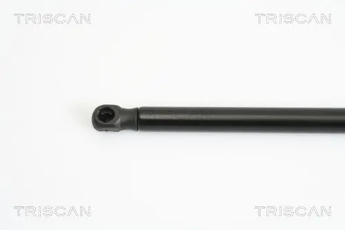 Handler.Part Gas spring, boot-/cargo area TRISCAN 871013274 2