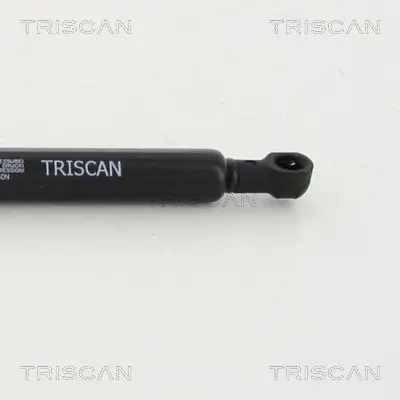 Handler.Part Gas spring, boot-/cargo area TRISCAN 871013253 1