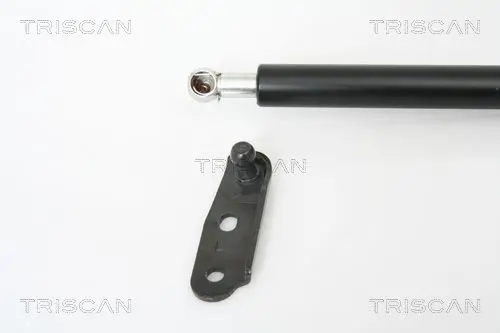 Handler.Part Gas spring, boot-/cargo area TRISCAN 871013253 2