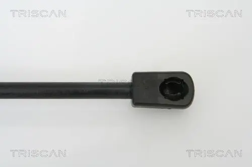 Handler.Part Gas spring, boot-/cargo area TRISCAN 871013267 3