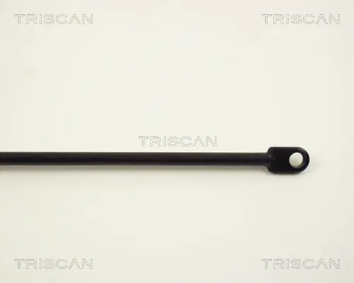 Handler.Part Gas spring, boot-/cargo area TRISCAN 87101504 3