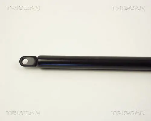 Handler.Part Gas spring, boot-/cargo area TRISCAN 87101507 2