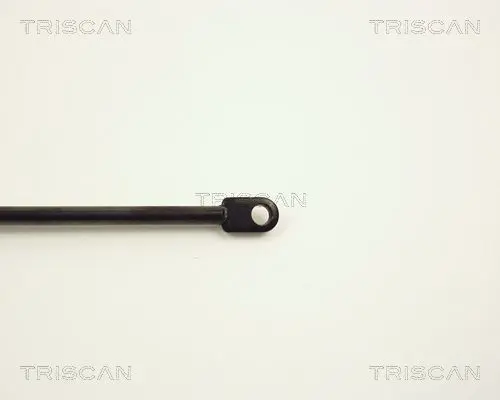 Handler.Part Gas spring, boot-/cargo area TRISCAN 87101507 3