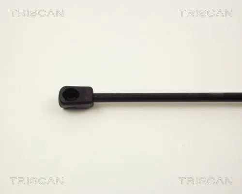 Handler.Part Gas spring, boot-/cargo area TRISCAN 87101607 3