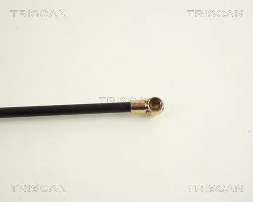 Handler.Part Gas spring, boot-/cargo area TRISCAN 871016206 3