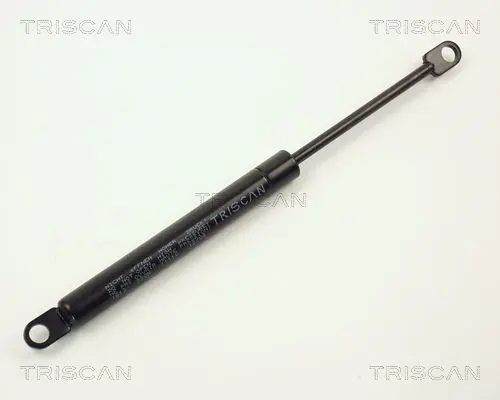 Handler.Part Gas spring, boot-/cargo area TRISCAN 87101613 1