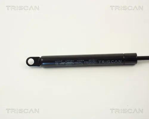 Handler.Part Gas spring, boot-/cargo area TRISCAN 87101613 2