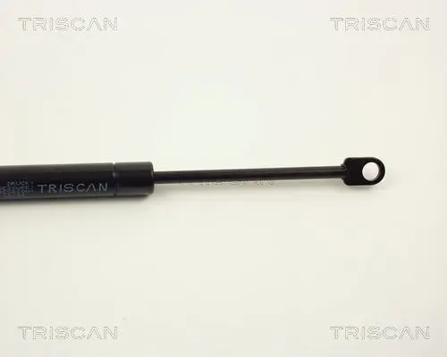 Handler.Part Gas spring, boot-/cargo area TRISCAN 87101613 3