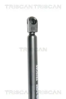 Handler.Part Gas spring, rear windscreen TRISCAN 871016251 2