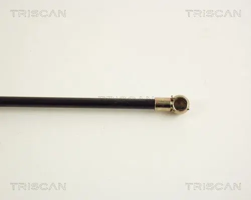 Handler.Part Gas spring, boot-/cargo area TRISCAN 871020200 3