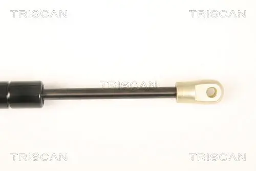 Handler.Part Gas spring, boot-/cargo area TRISCAN 871020202 3