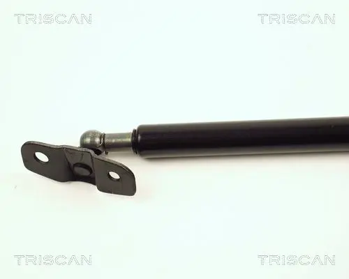 Handler.Part Gas spring, boot-/cargo area TRISCAN 871021204 2