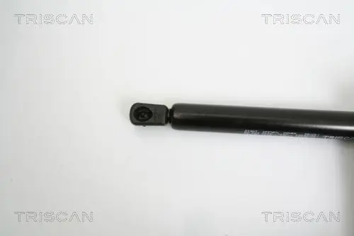 Handler.Part Gas spring, boot-/cargo area TRISCAN 871023213 2