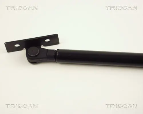 Handler.Part Gas spring, bonnet TRISCAN 871024103 2