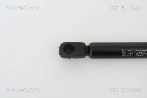 Handler.Part Gas spring, boot-/cargo area TRISCAN 871024229 2