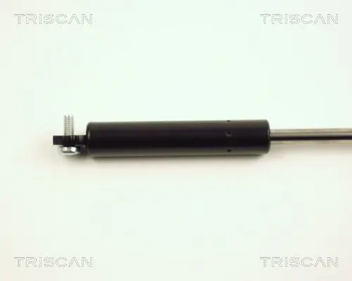 Handler.Part Gas spring, bonnet TRISCAN 871025101 3