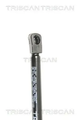 Handler.Part Gas spring, rear windscreen TRISCAN 871025235 2