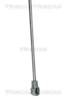 Handler.Part Gas spring, rear windscreen TRISCAN 871025235 3