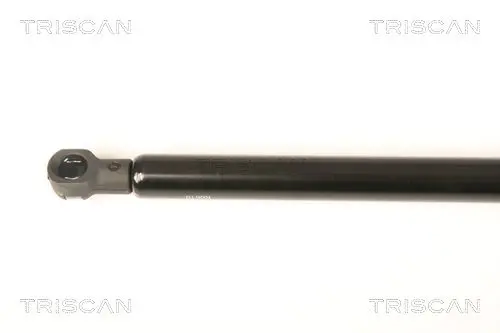 Handler.Part Gas spring, rear windscreen TRISCAN 871025248 2