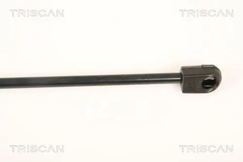 Handler.Part Gas spring, rear windscreen TRISCAN 871025251 3