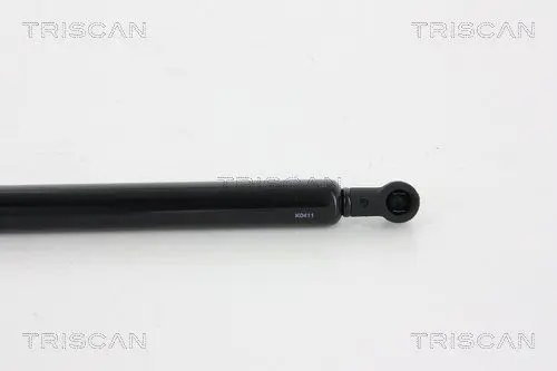 Handler.Part Gas spring, boot-/cargo area TRISCAN 871025255 2