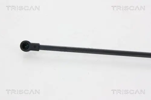 Handler.Part Gas spring, boot-/cargo area TRISCAN 871025255 3