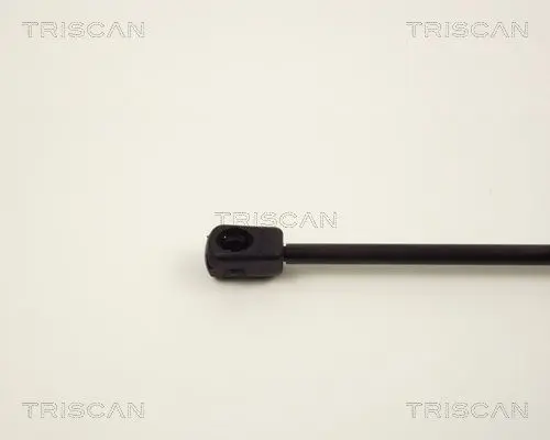 Handler.Part Gas spring, boot-/cargo area TRISCAN 87102807 3