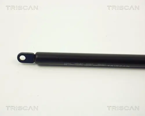 Handler.Part Gas spring, boot-/cargo area TRISCAN 87102902 2