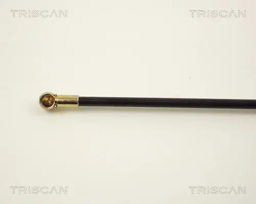 Handler.Part Gas spring, boot-/cargo area TRISCAN 87102910 3