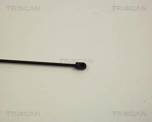 Handler.Part Gas spring, bonnet TRISCAN 871029107 3