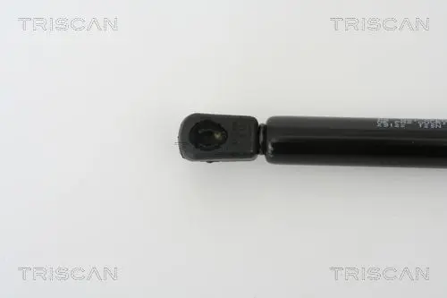 Handler.Part Gas spring, bonnet TRISCAN 871029122 2